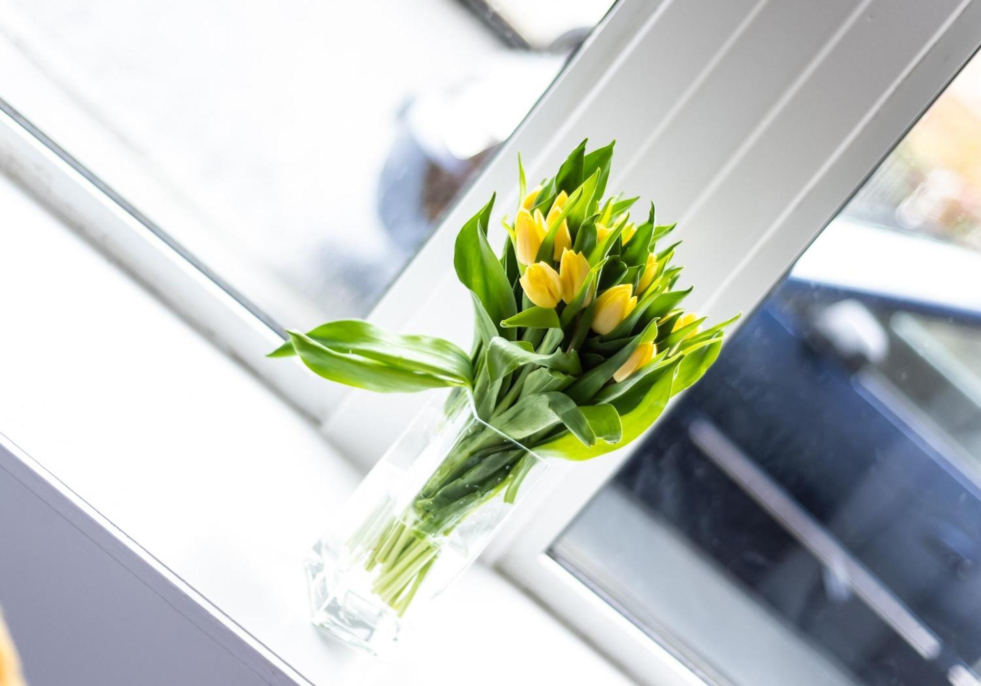 Albion Apartment By Klass Living Coatbridge Exteriör bild