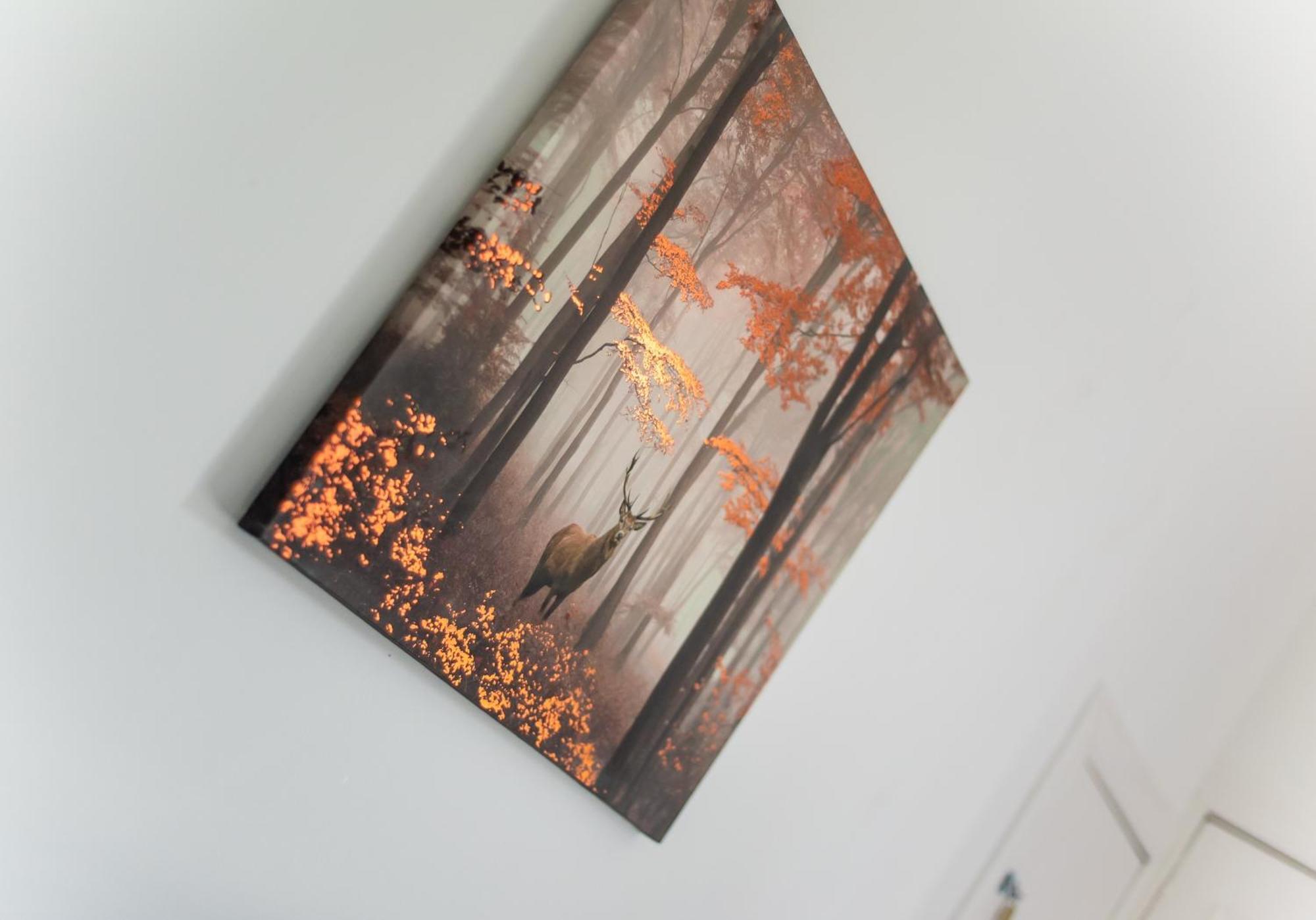 Albion Apartment By Klass Living Coatbridge Exteriör bild